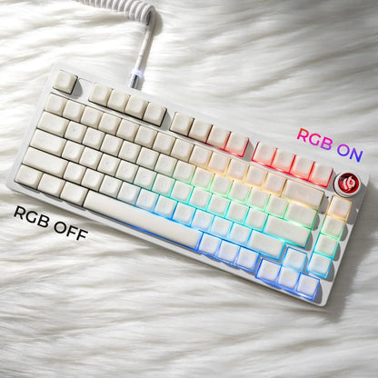 XVX White Jade Double Shot PBT Keycap Set - 132 MDA Profile Compatible with 60%/65%/75%/TKL/96% Layout Cherry MX Switch Mechanical Keyboards